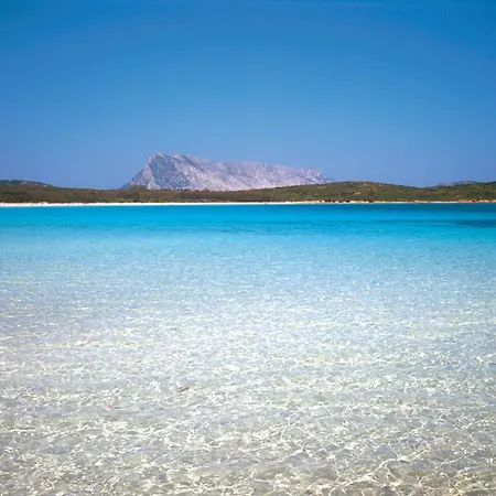Lejlighed Sunrise Marina House Olbia